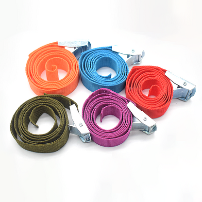 Custom OEM Polyester Cargo Lashing Strap Adjustable Luggage Binding Belt With Cam Buckle Custom Logo Color Length