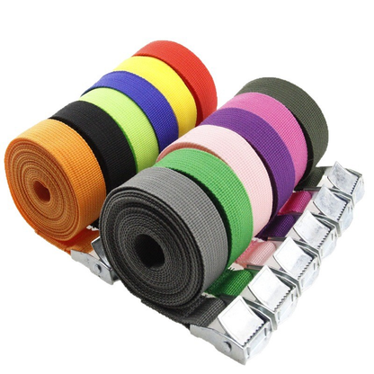 Custom OEM Polyester Cargo Lashing Strap Adjustable Luggage Binding Belt With Cam Buckle Custom Logo Color Length