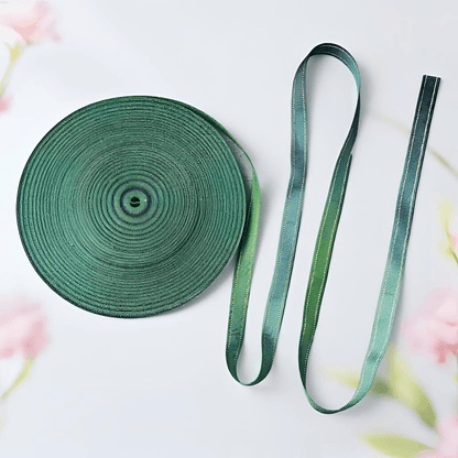Custom Gradient Polyester Webbing,Heat Transfer Printed Solid Hollow Webbing Strap for Pet Harness,Bags,Luggage,Garment Accessories