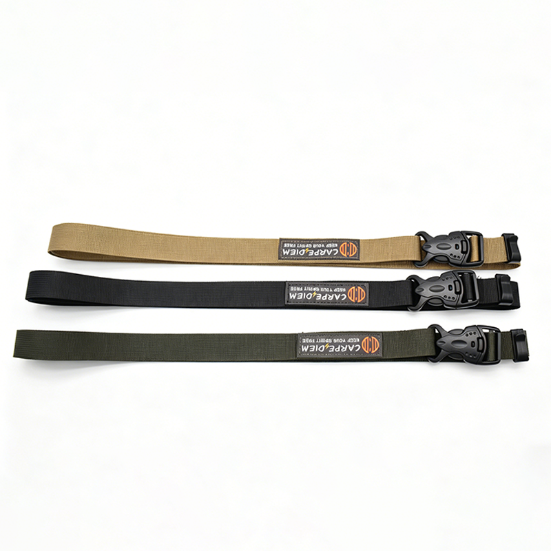 Custom Outdoor Double Safety Buckle Luggage Binding Strap Adjustable Polyester Webbing Travel Cargo Lashing Strap OEM Custom Logo Color Length